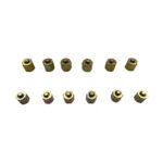 12PC Cap Nut Set